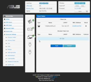 Padavan Firmware interface