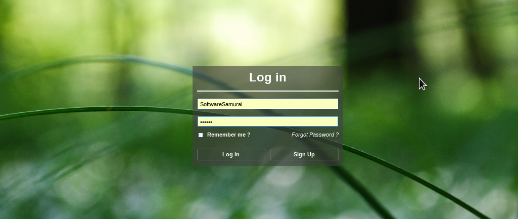 Login Form